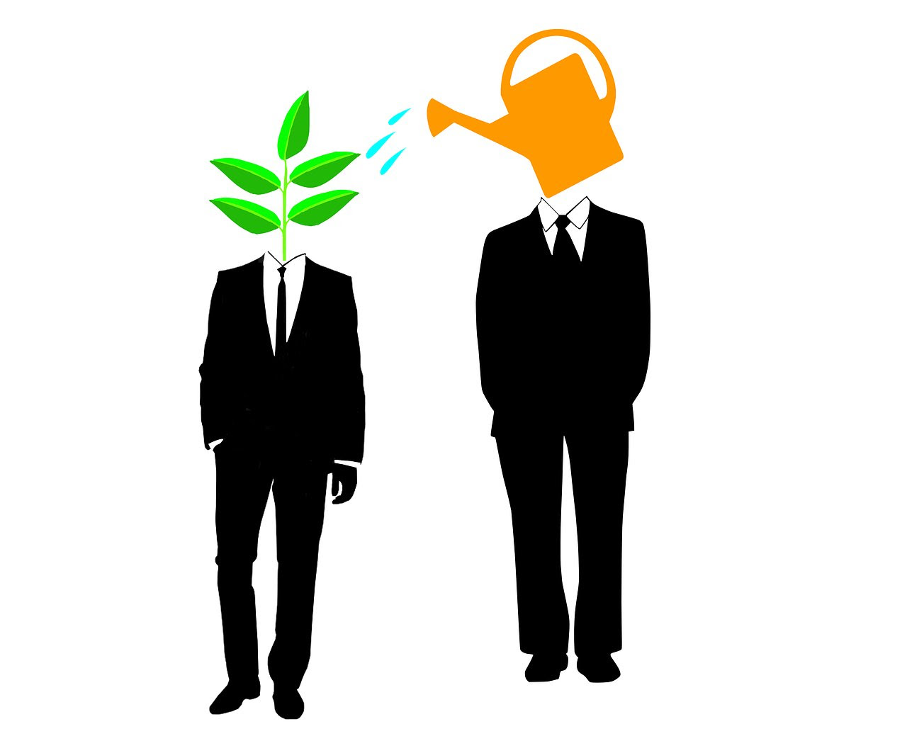 Healthcare mentorship